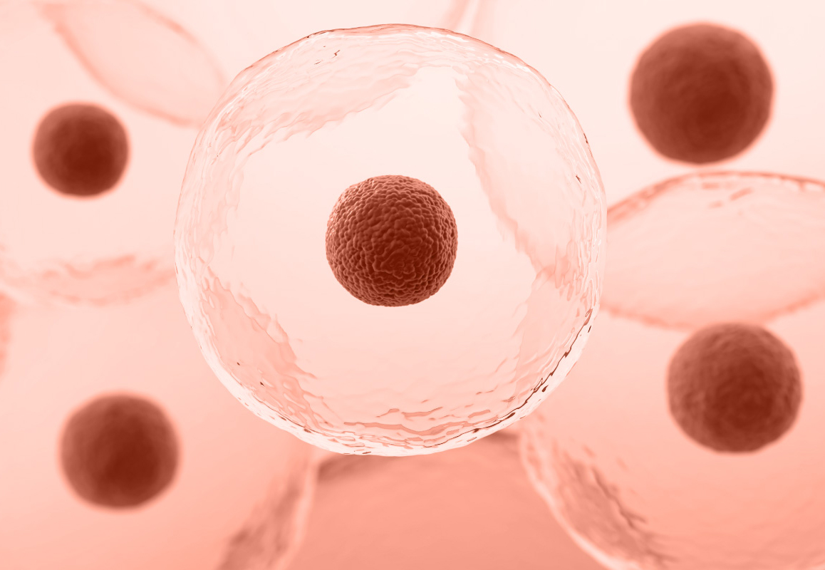 Reju MSC ตัวช่วยชะลอวัย ฟื้นฟูผิวหน้าให้ดูอ่อนเยาว์ด้วยสเต็มเซลล์