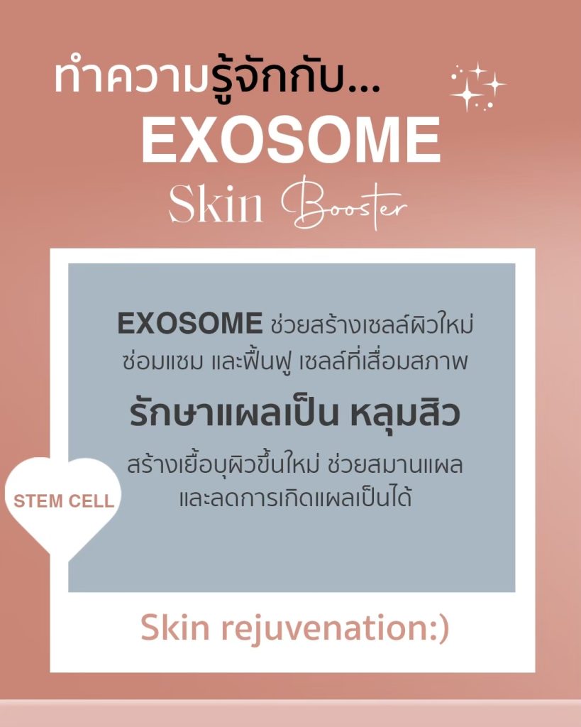 exosome คืออะไร