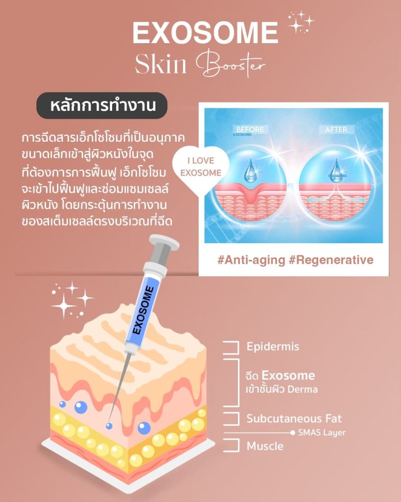 หลักการทำงาน Exosome